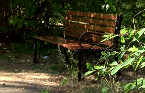 Скамейки от Хоббики для Саянска. Репортаж с места события